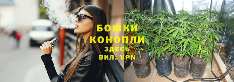 Канабис SATIVA & INDICA  Кондопога 